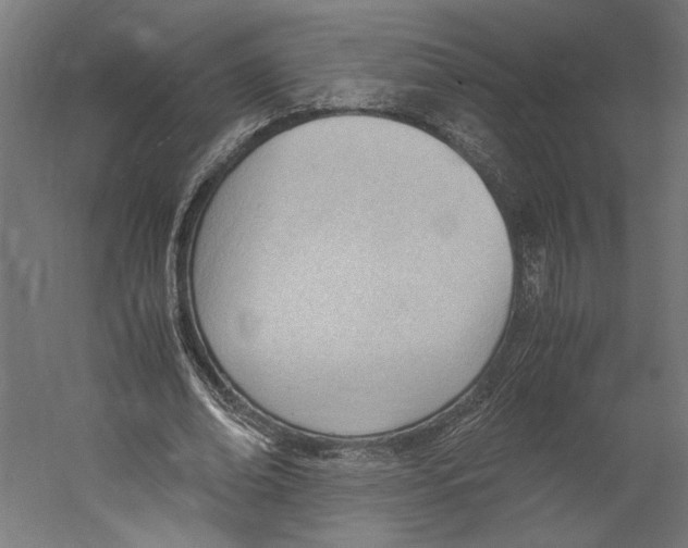 X0000060230678200511241307