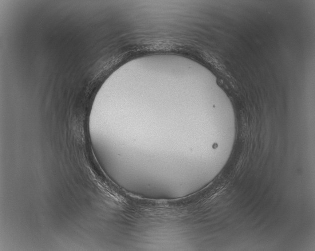 X0000060230681200511241307