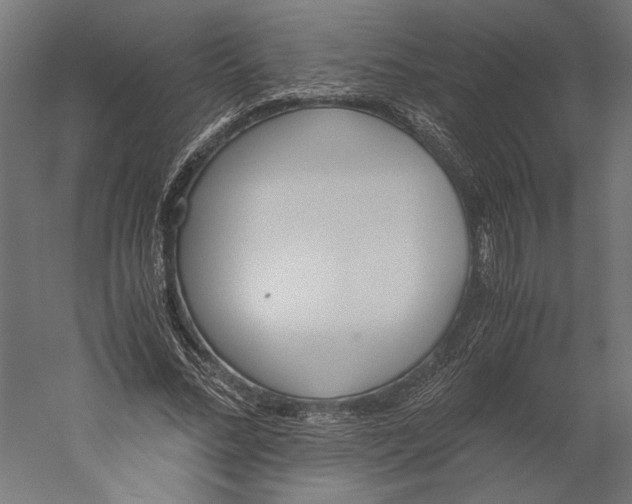 X0000060230684200511241307