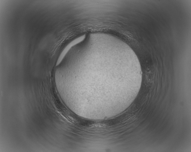 X0000060230691200511241307