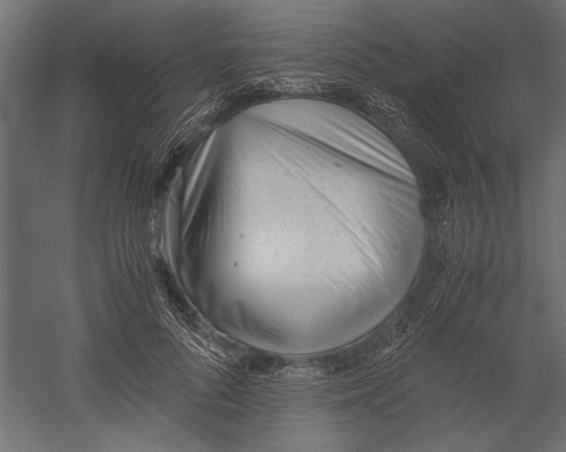 X0000060230696200511241307