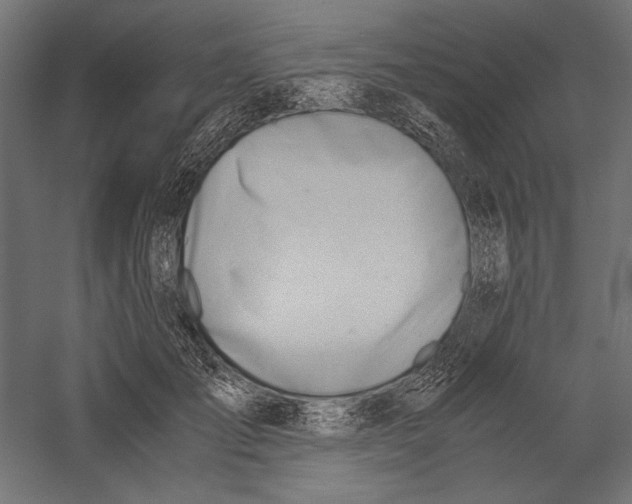 X0000060230701200511241307