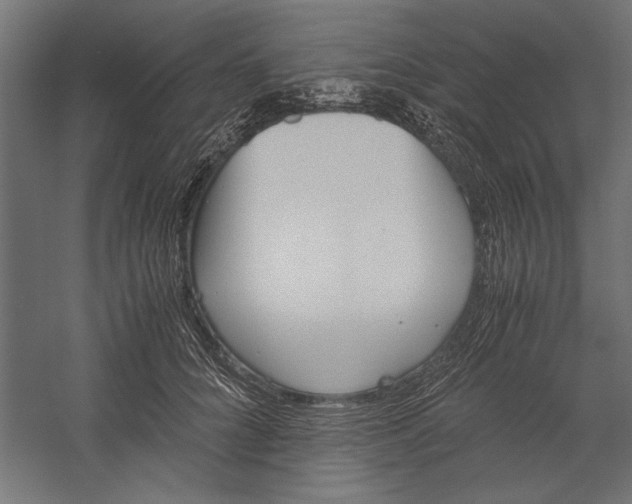 X0000060230704200511241307
