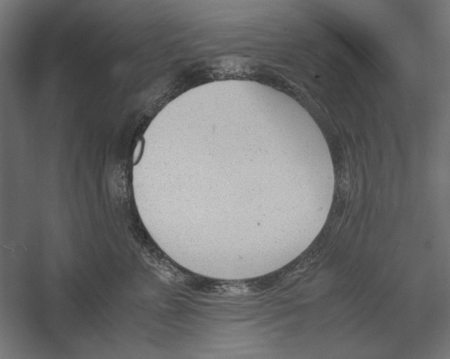 X0000060230715200511241306