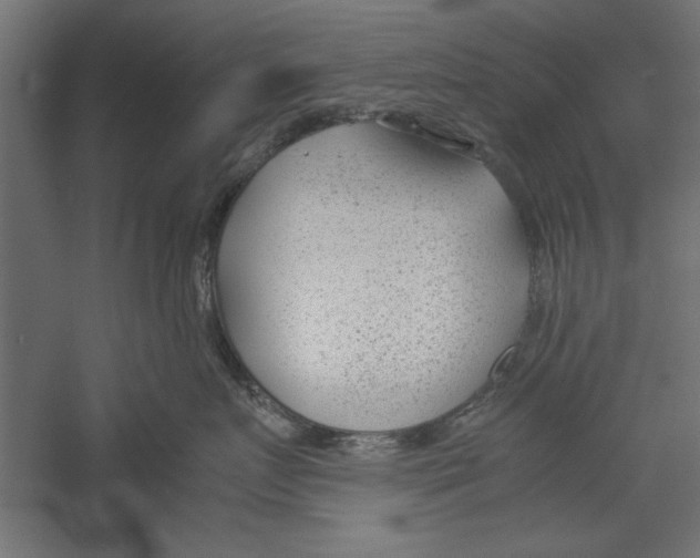 X0000060230719200511241306