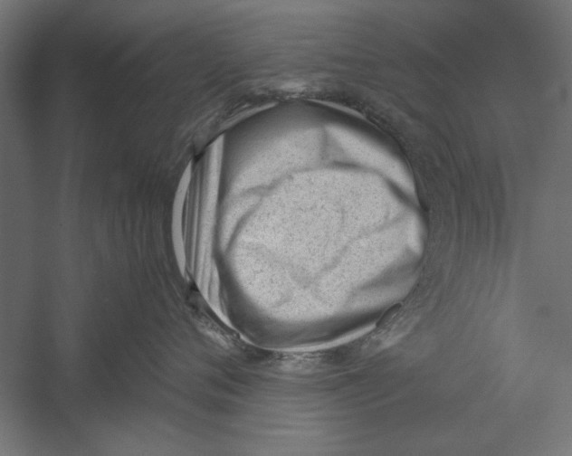 X0000060230720200511241306