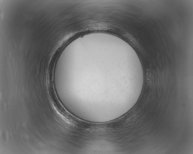 X0000060230726200511241306