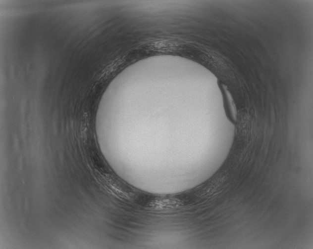 X0000060230752200511241306