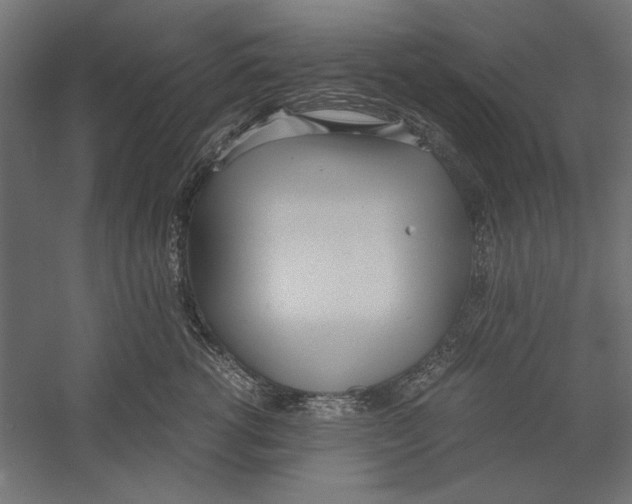 X0000060230762200511241306