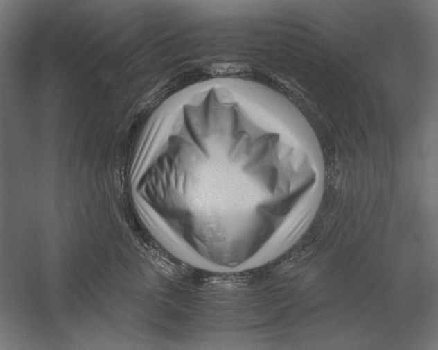 X0000060230763200511241306