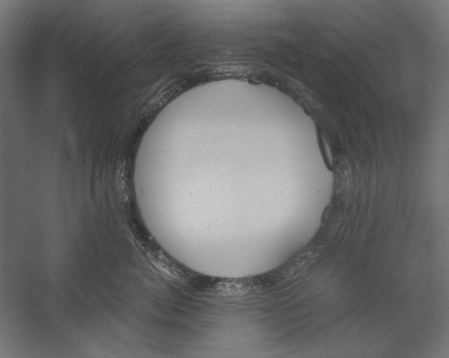 X0000060230764200511241306