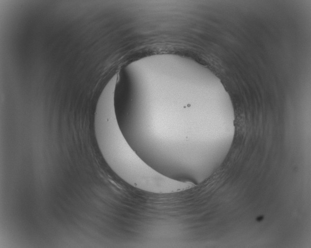 X0000060230766200511241306