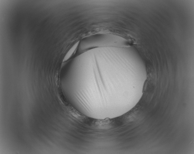 X0000060230767200511241306