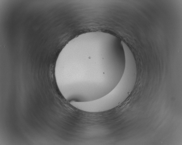 X0000060230768200511241306