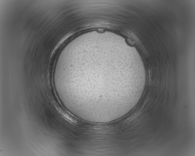 X0000060230780200511241305