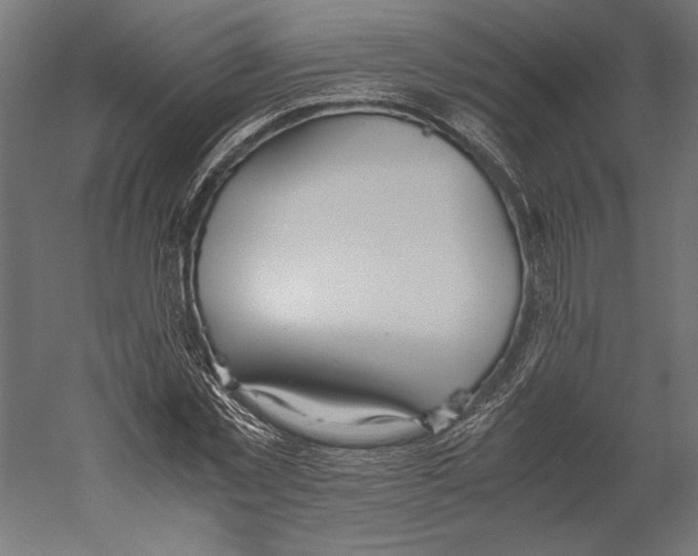 X0000060230781200511241305