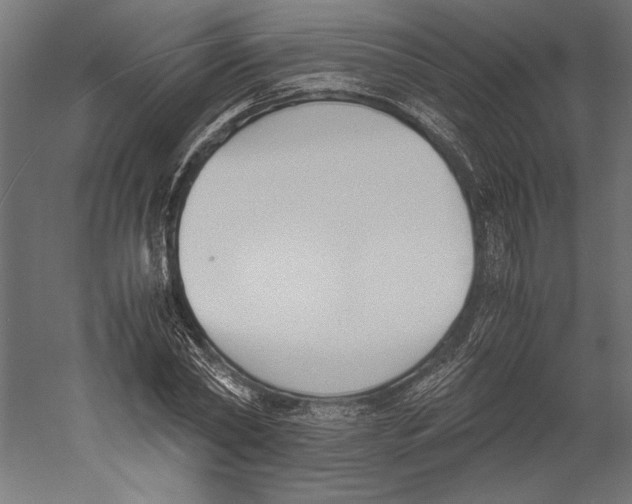 X0000060230782200511241305
