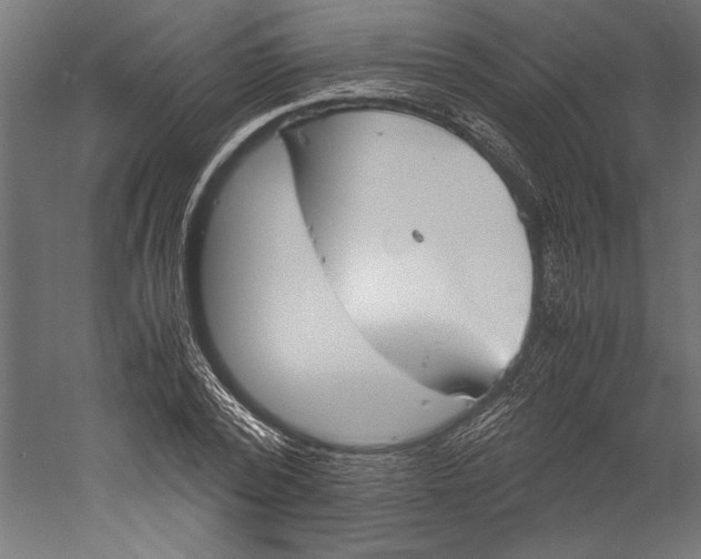 X0000060230784200511241305