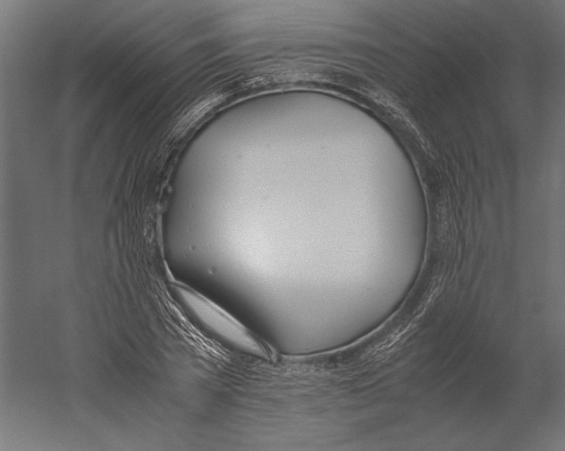 X0000060230785200511241305