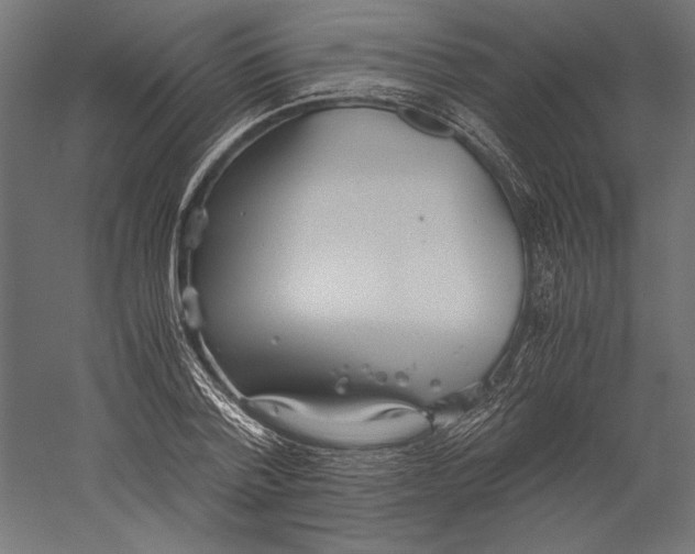 X0000060230788200511241305