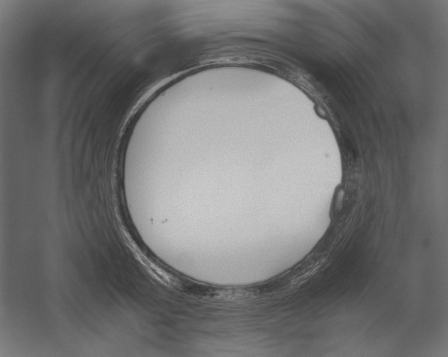 X0000060230803200511241305