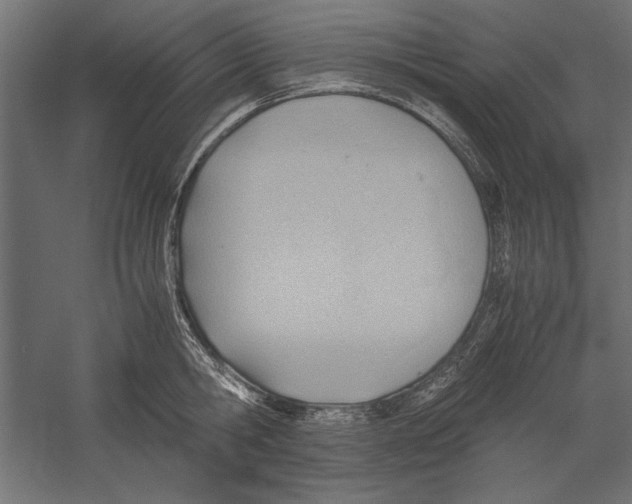 X0000060230806200511241305