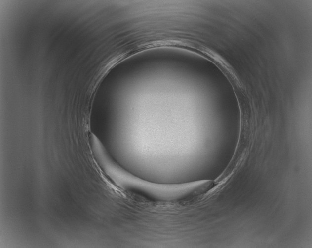 X0000060230809200511241305
