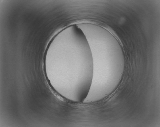 X0000060230813200511241305