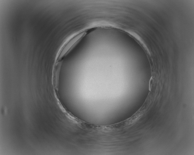X0000060230815200511241305