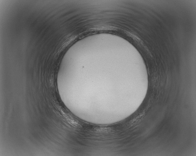 X0000060230833200511241304