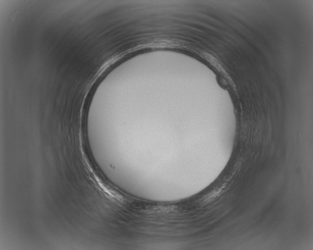 X0000060230845200511241304