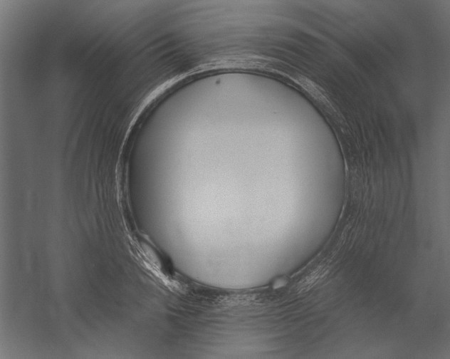 X0000060230846200511241304