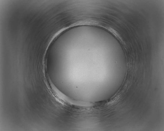 X0000060230854200511241304