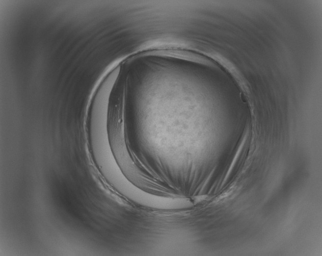 X0000060230864200511241305
