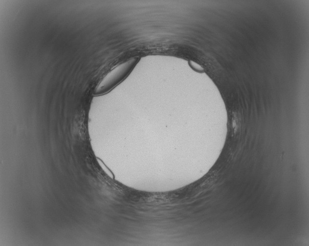 X0000060230867200511241304