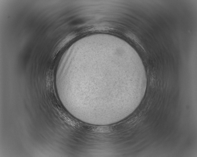 X0000060230874200511241304