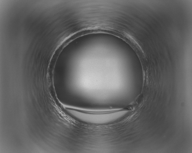 X0000060230876200511241304