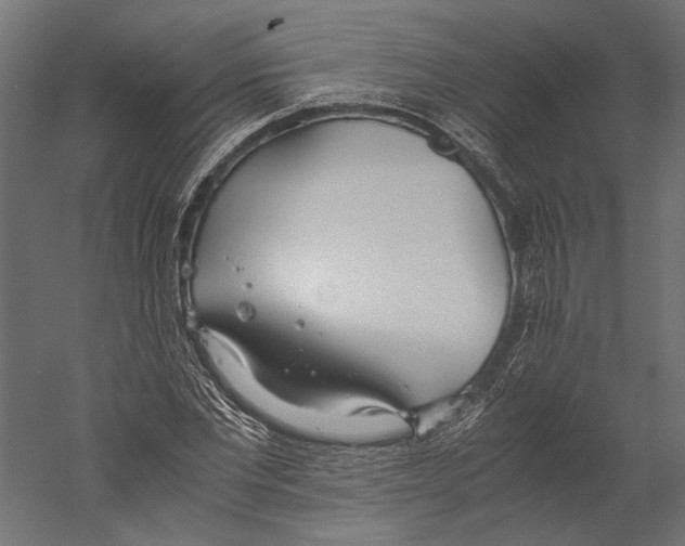 X0000060230877200511241304