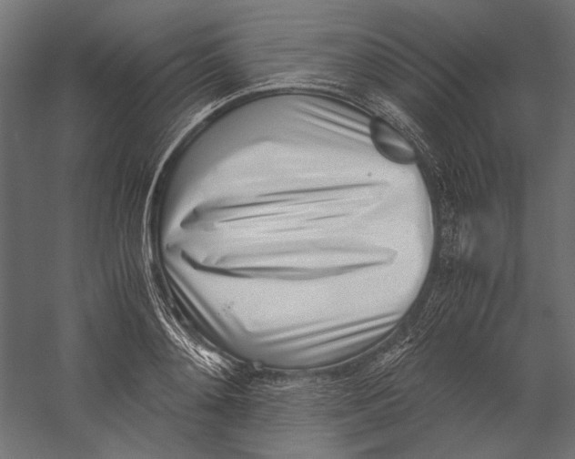 X0000060230892200511241303