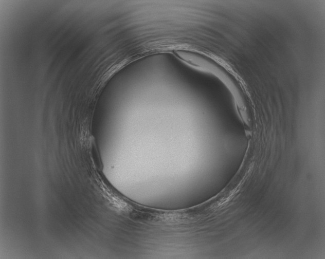 X0000060230897200511241303