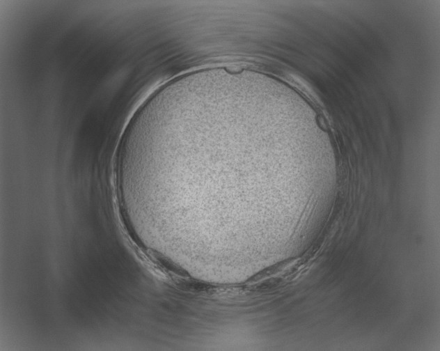 X0000060230907200511241303