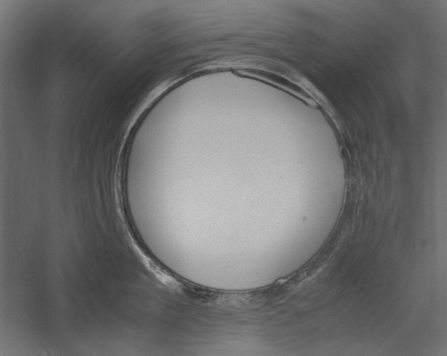 X0000060230909200511241303