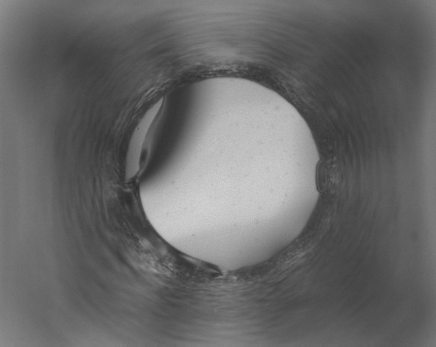 X0000060230916200511241302