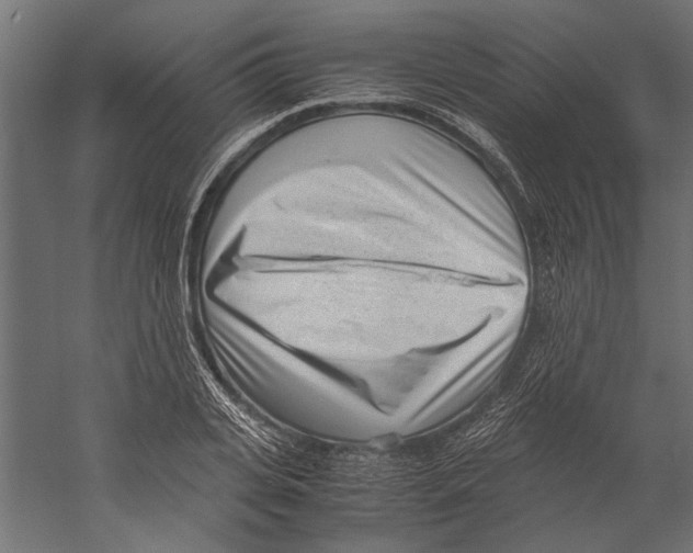 X0000060230935200511241303