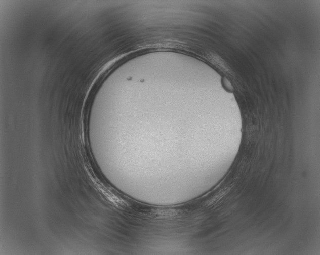 X0000060230940200511241303