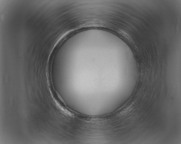 X0000060230942200511241303