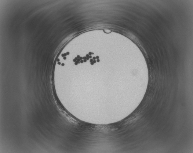 X0000060230954200511241303