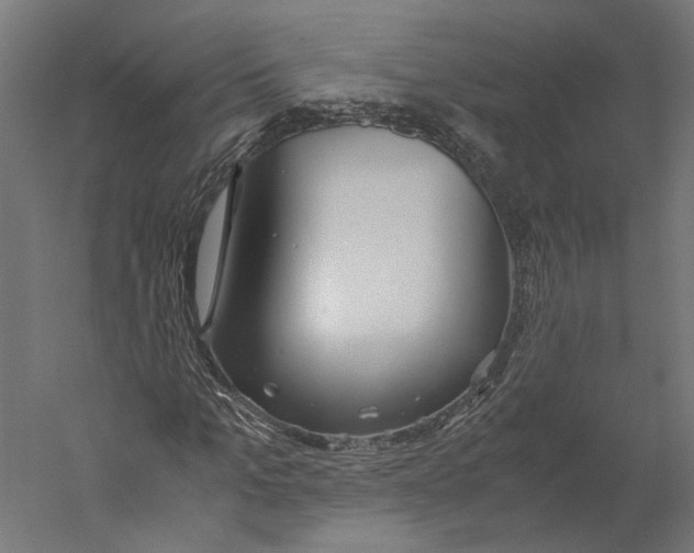 X0000060230965200511241302