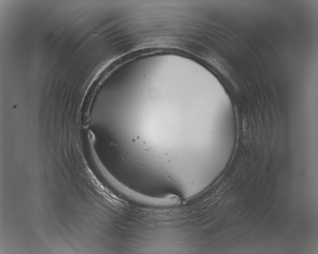 X0000060230972200511241302