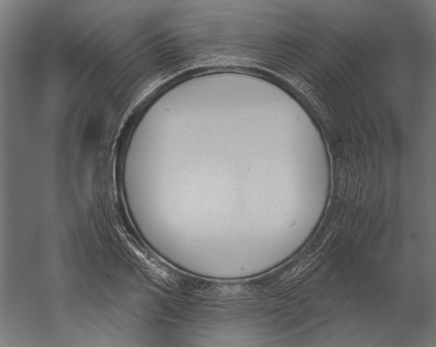 X0000060230982200511241302
